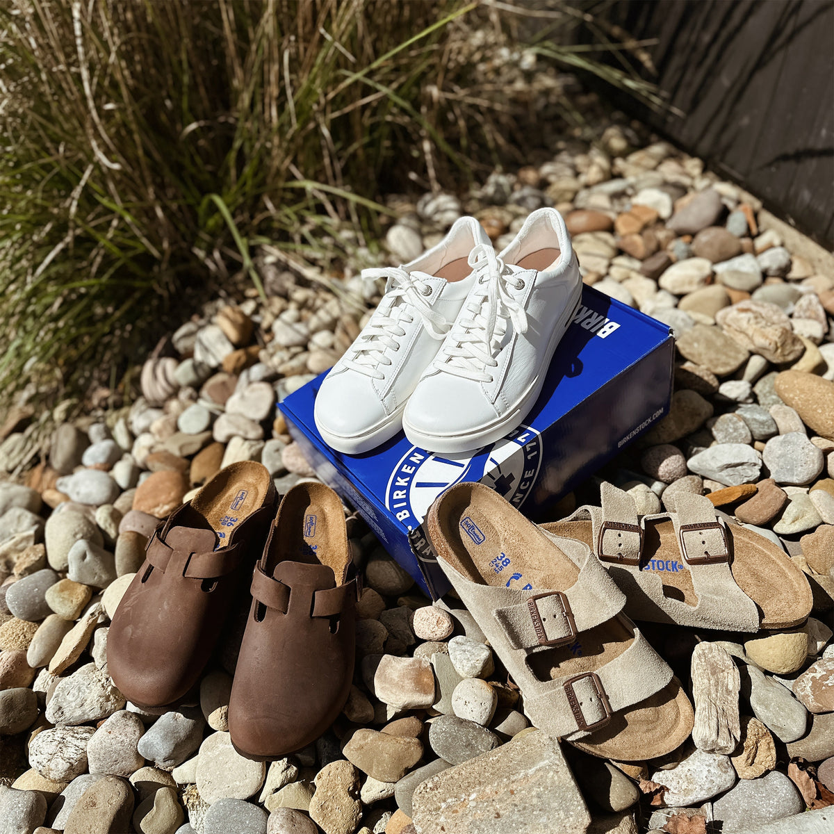 Birkenstock — bfearless.