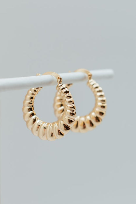 18K Gold Plated Large Oyster Hinge Hoop Earrings - Gold