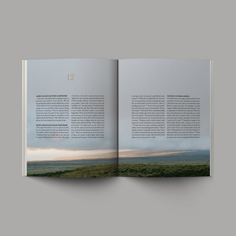 Book of Acts Softcover