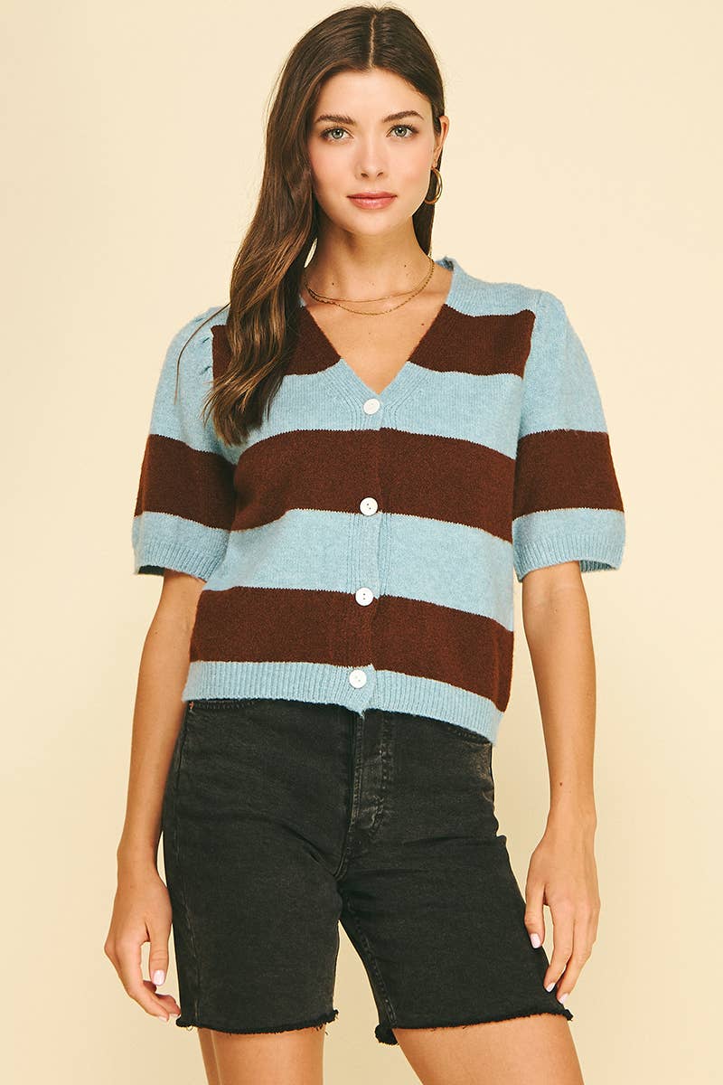 Striped V-Neck Sweater - Blue & Brown