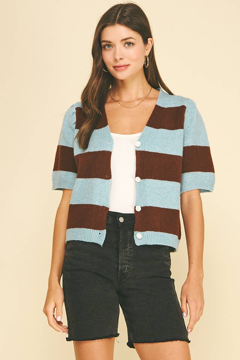 Striped V-Neck Sweater - Blue & Brown
