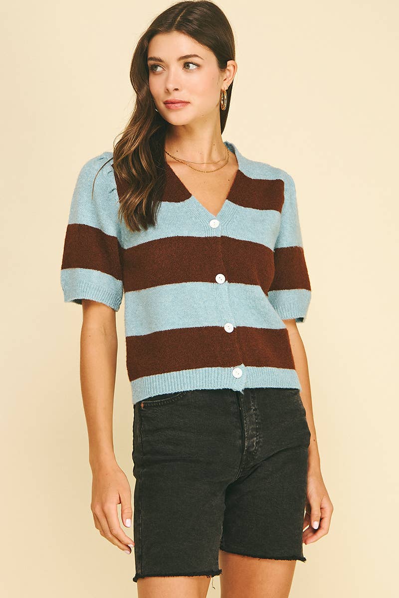 Striped V-Neck Sweater - Blue & Brown