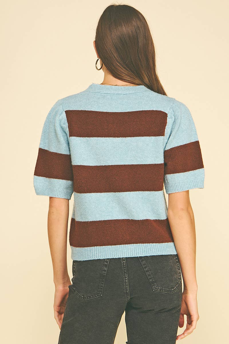 Striped V-Neck Sweater - Blue & Brown