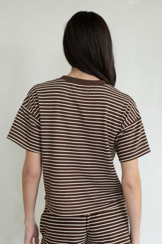 Striped T Shirt - Brown
