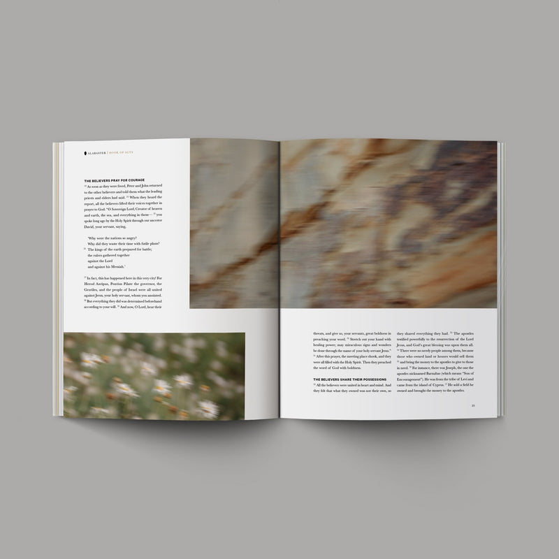 Book of Acts Softcover