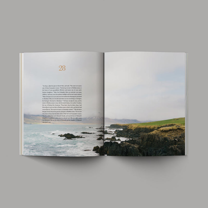 Book Of Genesis Softcover