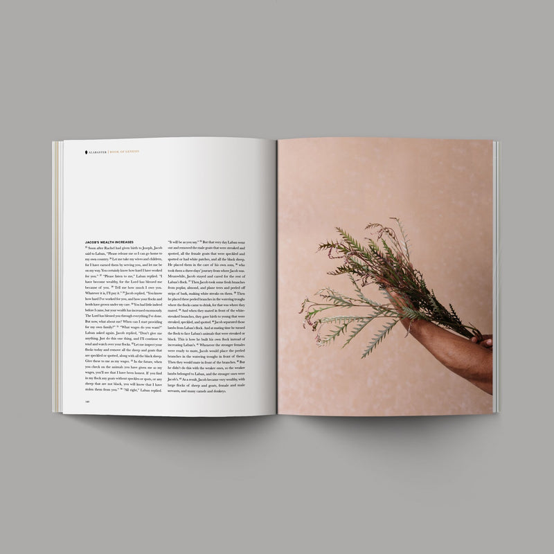 Book Of Genesis Softcover