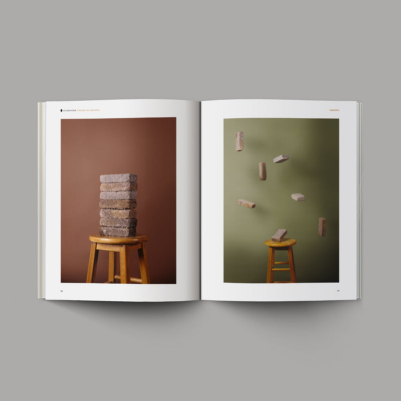 Book Of Genesis Softcover