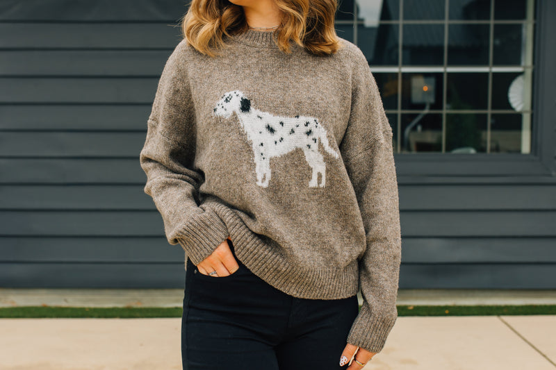 Dalmatian Dog Graphic Fuzzy Sweater - Mocha