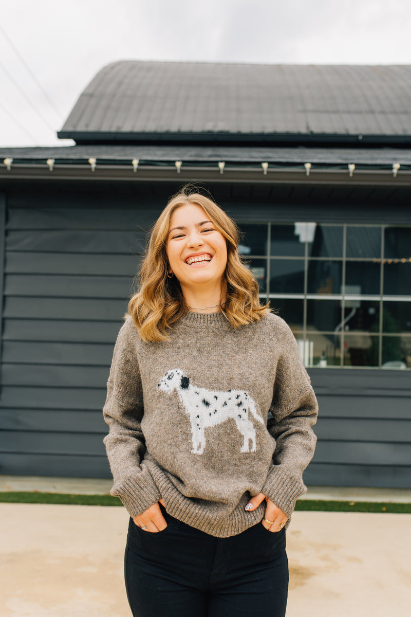 Dalmatian Dog Graphic Fuzzy Sweater - Mocha