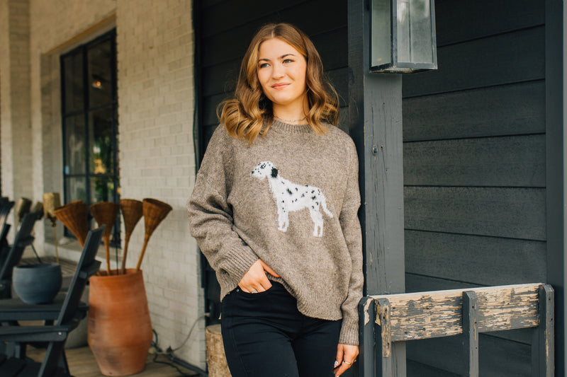 Dalmatian Dog Graphic Fuzzy Sweater - Mocha