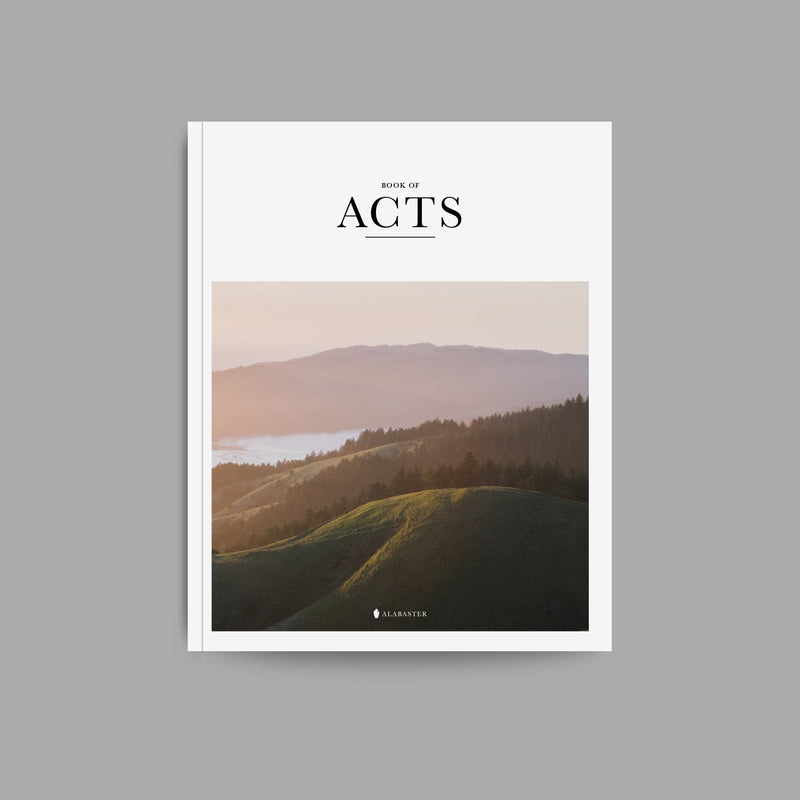 Book of Acts Softcover