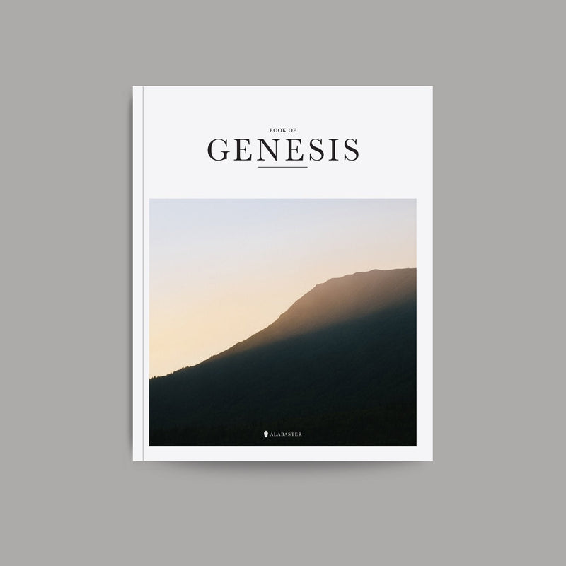 Book Of Genesis Softcover